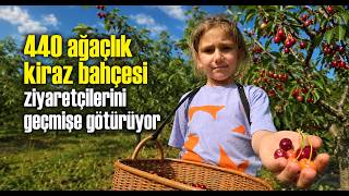 440 Ağaçlık Kiraz Bahçesi Ziyaretçilerini Geçmişe Götürüyor