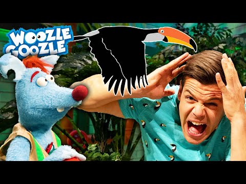 Wie ist es im Regenwald? l WOOZLE GOOZLE
