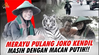 Download lagu SEDUCE JOKO KENDIL ❗️❗️”COME HOME BRO, YOUR FATHER MISSES YOU ❗️❗️STILL LOYAL accompanied by the ... mp3
