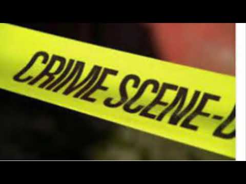 Kuttup Bull- L.F.G (Letter From Gillis)