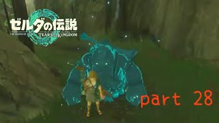 【ティアーブオブザキングダム】〜新しい仲間〜美空の実況#28