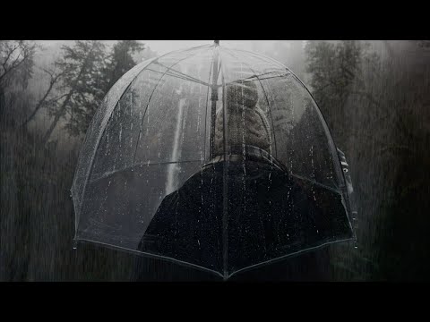 Regengeräusche auf einen Regenschirm (ASMR) Zum Einschlafen und Entspannen