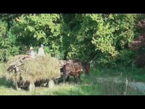 Interview for Pagini TV