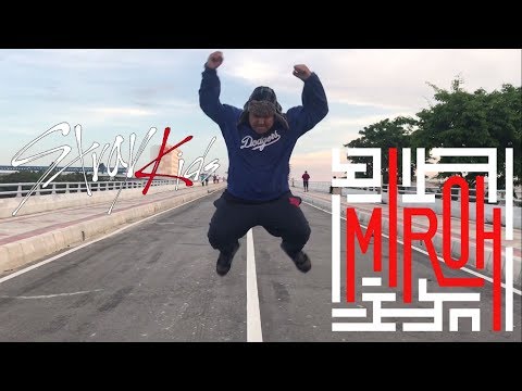 STRAY KIDS "MIROH" FUNNY DANCE!