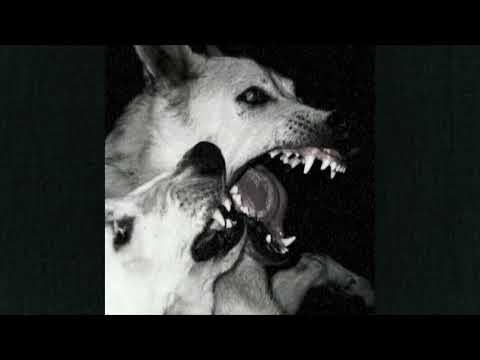 free) hardcore punk x metal x alternative rock type beat - "NEW SPIKES" (prod. Capsized)