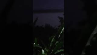 El Problema &quot;Ricardo Arjona&quot;