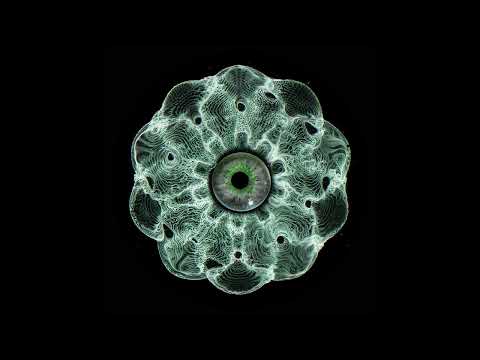 For•at - Luminus (Barac Remix) [LOKBLK001]