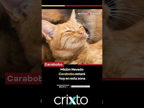 Misión Nevado Carabobo estará hoy en esta zona