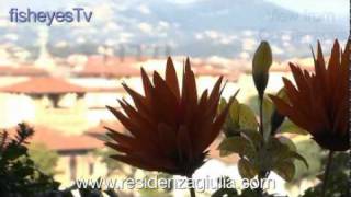 Residenza Giulia Florence - Bed & Breakfast's In Florence
