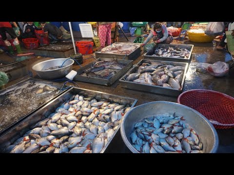 Amazing Site Distribute Fish, SeaFood @Prek Phnov Bridge - Morning Fish Market Scene at Prek Phnov