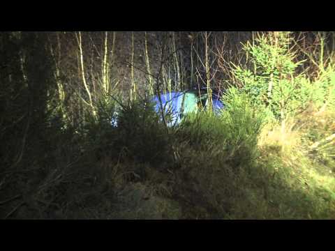 Unfall-PKW durch Zufall im Wald gefunden