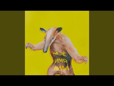 Video thumbnail for Jump! (стадионная)