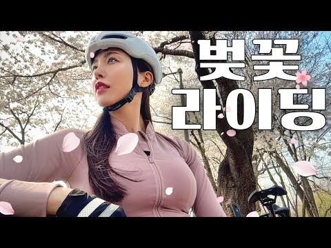 벚꽃 라이딩