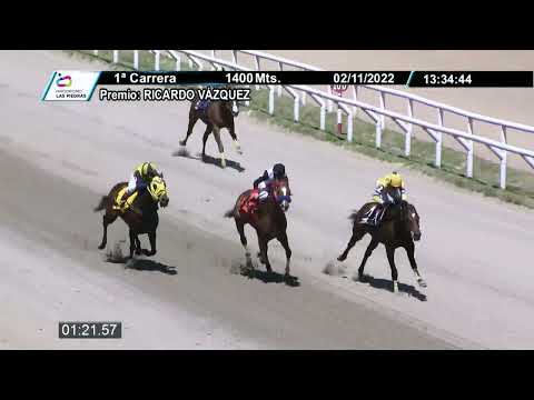 221102 c01 - CHOKO - HIPODROMO LAS PIEDRAS