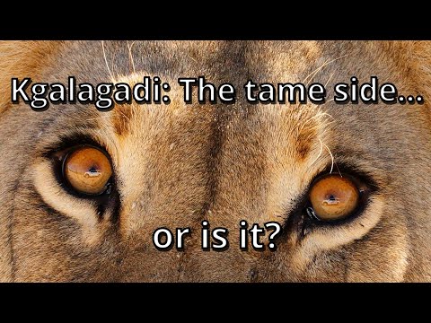 Kgalagadi: The tame side - or is it? [Ep 3]