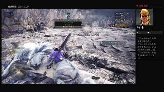 MHW初めて