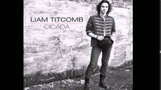 Cicada by Liam Titcomb