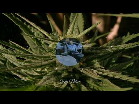 SACAR aka Lil Buddha - Ganja Nation ( Prod. @BeatsByHype )