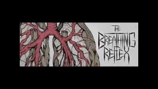 The Breathing Reflex - Fearless
