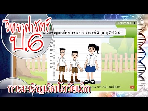 เคล็ดลับการขยายขนาดอวัยวะเพศ กลิ่นของผู้หญิงที่ตื่นเต้น