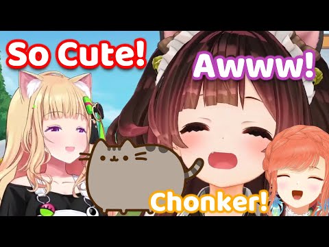 Roboco and Aki Can't Stop Playing with Kiara's Cat IRL