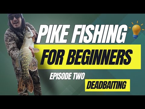 HOW TO START DEADBAIT FISHING FOR PIKE (Beginner's Guide)
