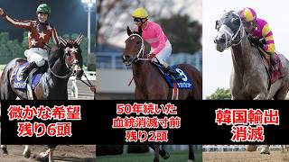 韓国輸出で消滅【全17頭】現在日本で消滅しかかっているナスルーラ系種牡馬まとめ　希望はボールドルーラー系