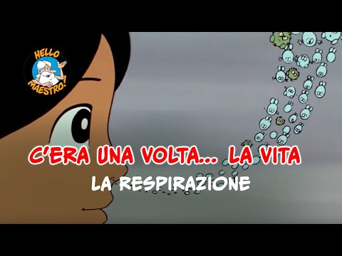 Siamo fatti così... la vita 🌱- Riparazione e trasformazione 🧮