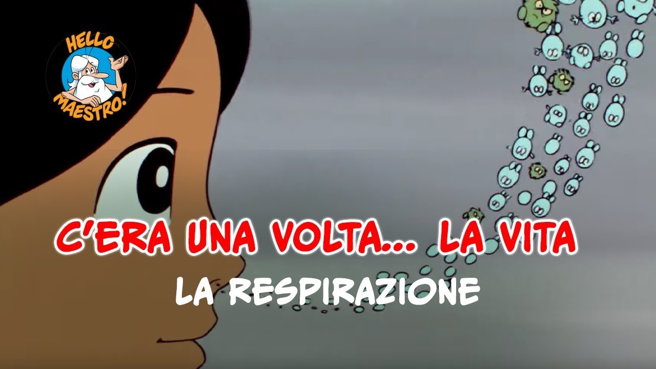 Siamo fatti così... la vita 🌱- Riparazione e trasformazione 🧮