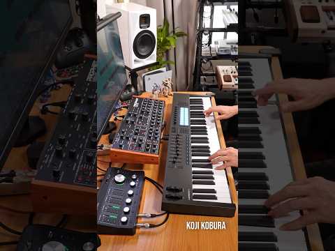 The Weeknd - Blinding Lights (Prophet REV2 + Novation LaunchKey 61 MK4) #synth #musicproducer