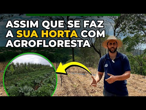 Passo a passo para criar um sistema de produção de hortaliças com agrofloresta I Episódio 1