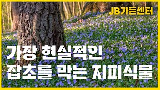 잡초, 이길순없어도 극복할 수 있습니다. 약 그만 뿌리고 이렇게 덮어보세요!~ [JB가든센터_대림묘목농원]
