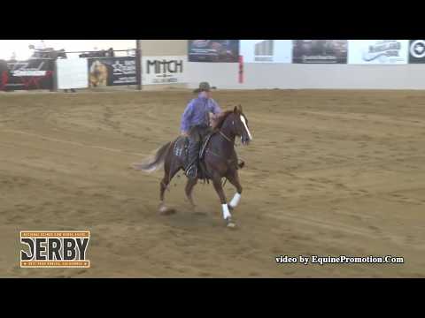 CD Dee Vee Dee ridden by Cutter W. McLaughlin  - 2017 NRCHA Derby (Rein/Cow, NP Bridle)