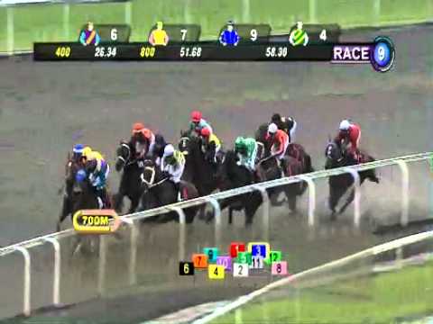 SINGAPORE RACE 05/01/2014 RACE 9 - iAgencyNet.com