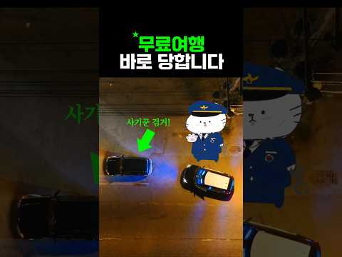 무료 여행 사기의 실체: 유령 예약과 숨겨진 비용들