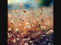 Doria Roberts - Simple Life 