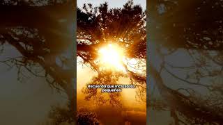 Feliz Martes🌞❤️