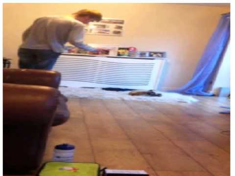 Alfie the film: The story of cat with attitude!