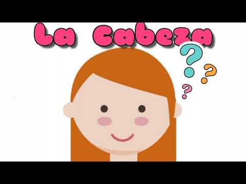 LAS PARTES DEL CUERPO ( CABEZA, TRONCO Y EXTREMIDADES ) VIDEO PARA NIÑOS .