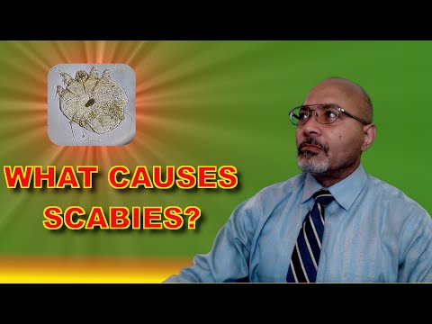 Can your pet pass scabies to you?