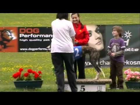 Rábapatona 9. june 2012 race 14