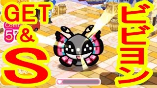 ポケとる更新 アンノーンサファリ スコア999万挑戦 アタック の色違いホウオウgetでルギアのスキルパワーも簡単だ ポケとる実況 تنزيل الموسيقى Mp3 مجانا
