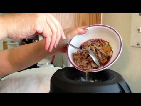 How to make Cauliflower Cheese Soup using Vitamix Pro 750