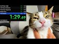 Annoying My Cat Until He Gives Up The Chair Speedrun No Damage 100 WR