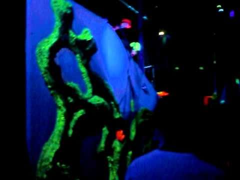 Eargasm Belgium Psychedelic stage 11-09-2010