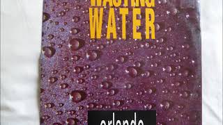 Orlando   Wasting Water