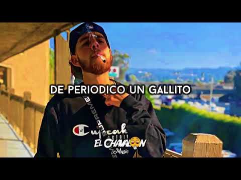 De periódico un gallito  Herensia De Patrones