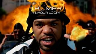 Wu-Tang – Triumph (1 Hour Loop)