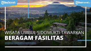 Wisata Umbul Sidomukti Semarang, Tawarkan Beragam Fasilitas Menarik di Lereng Gunung Ungaran