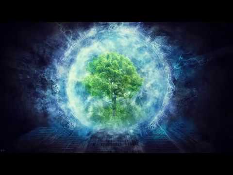 TRANSFORME SUA VIDA EM 15 MINUTOS